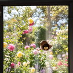 Handmade Wood Doorbell Bird Bell Pendant – Elegant Entrance Chime with Relaxing Sound