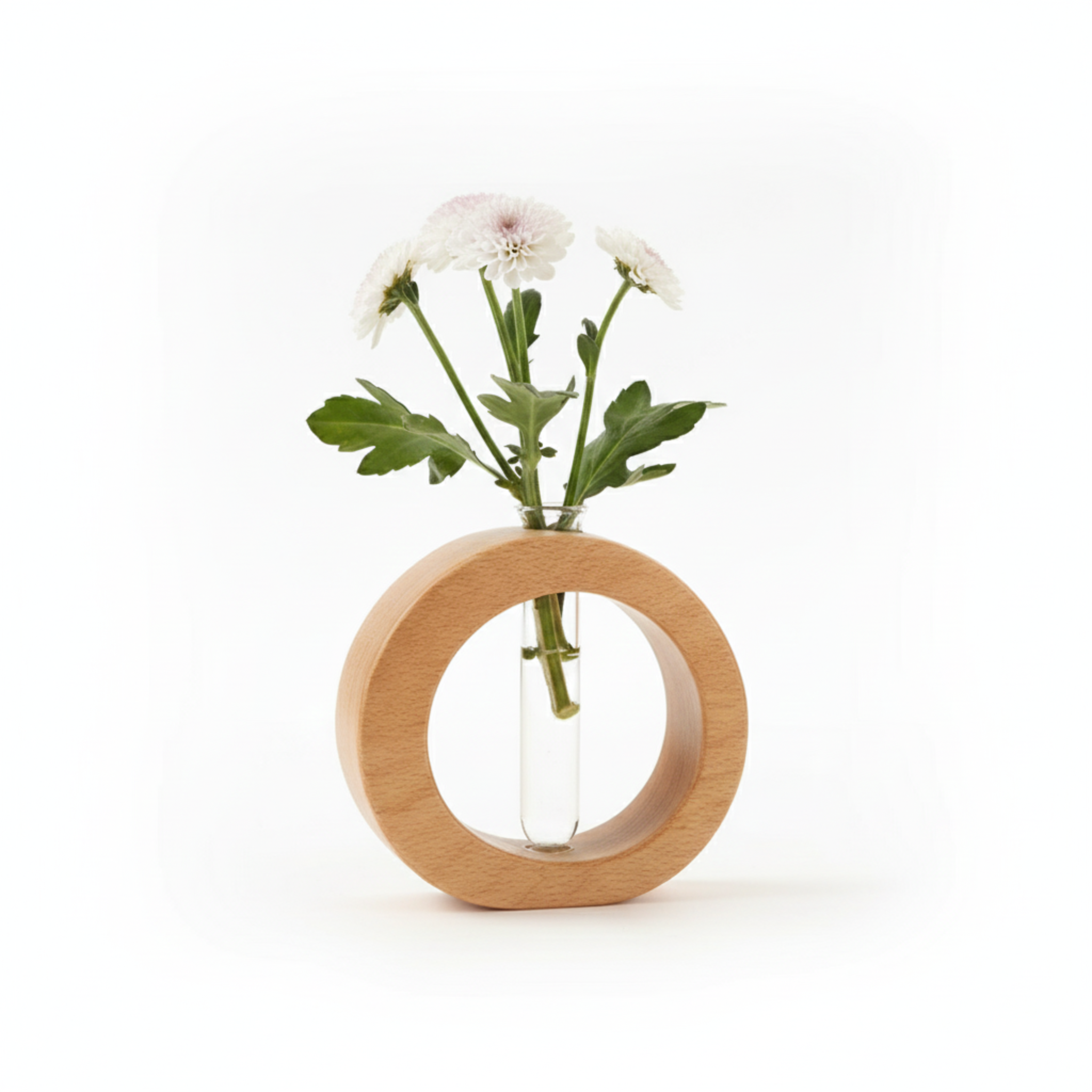 Beech Wooden Hydroponic Vase with Glass Tube – Minimalist Propagation Station